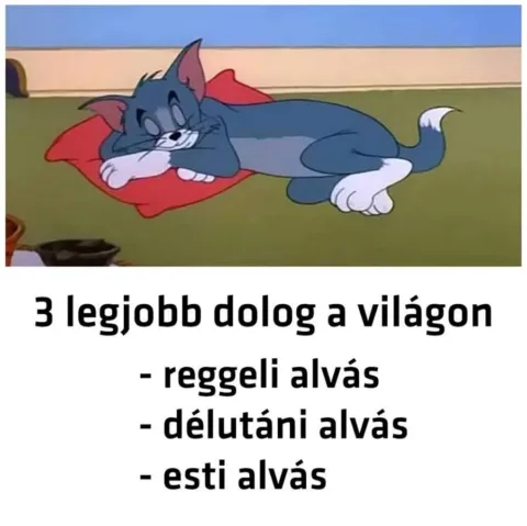 #VK1769146303