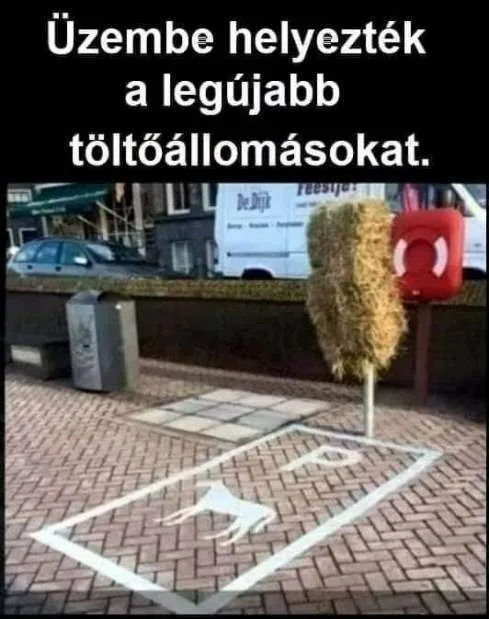 #VK1769177668 #VK1769177668