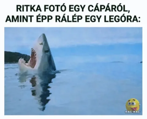 #VK1769236875