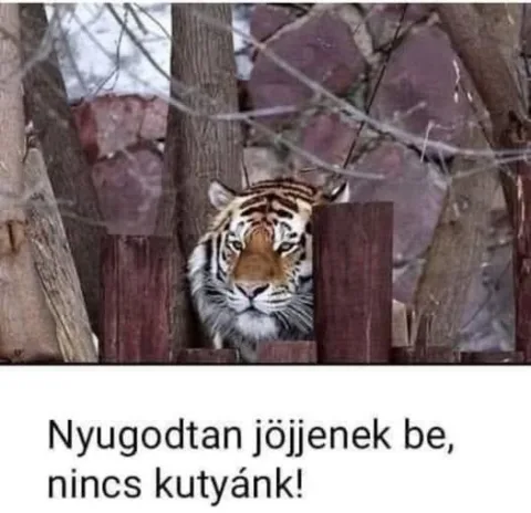 #VK1769455756 #VK1769455756