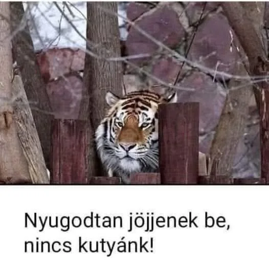 #VK1769455756 #VK1769455756