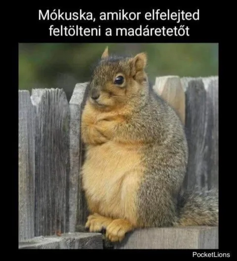 #VK1769622088