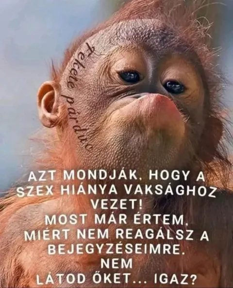 #VK1769686285
