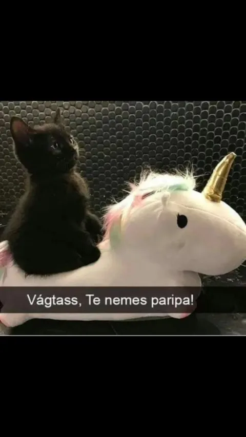 #VK1769853503