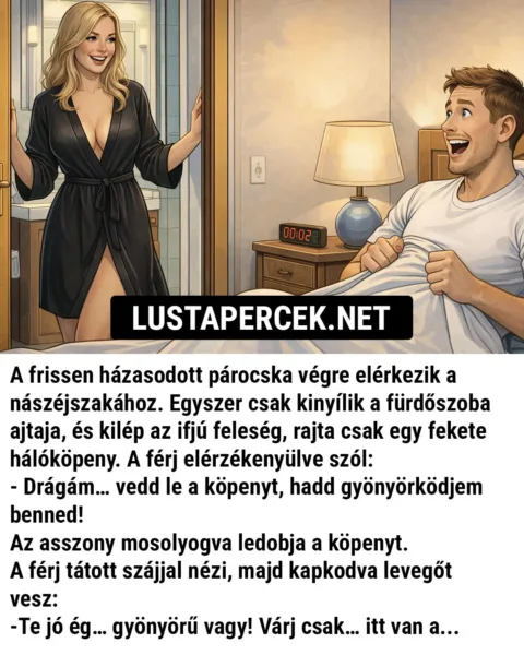 Vicc: A frissen házasodott párocska végre elérkezik a nászéjszakához