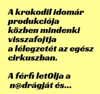 Vicc: A krokodil idomár produkciója közben mindenki visszafojtja a…