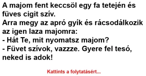 Vicc: A majom fent keccsöl egy fa tetején