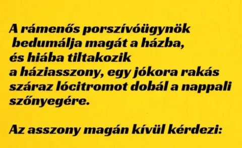 Vicc: A rámenős porszívóügynök bedumálja magát a házba, és hiába…