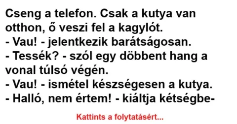 Vicc: Cseng a telefon