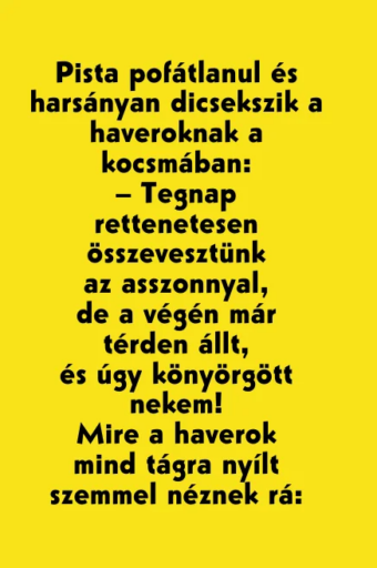 Vicc: Gézának nagy arca van - Vicc: Gézának nagy arca van –