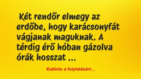 Vicc: Két rendőr elmegy az erdőbe, hogy karácsonyfát vágjanak maguknak Vicc: Két rendőr elmegy az erdőbe, hogy karácsonyfát vágjanak maguknak