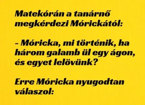 Vicc: Matekórán a tanárnő megkérdezi Mórickától –