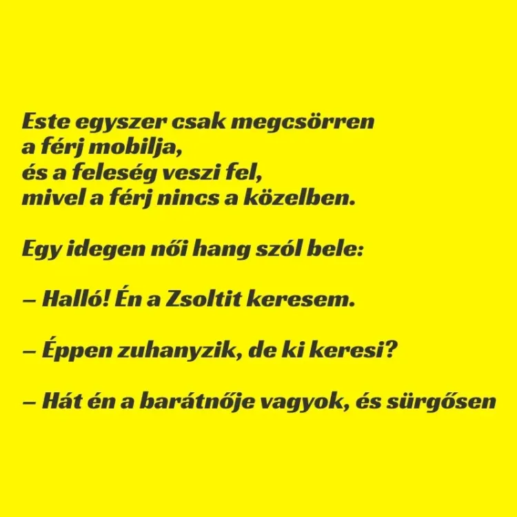 Vicc: Megcsörren a férj mobilja, de az asszony veszi fel Vicc: Megcsörren a férj mobilja, de az asszony veszi fel –