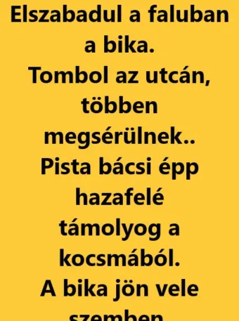 Vicc: Pista bácsi szembe kerül egy tomboló bikával