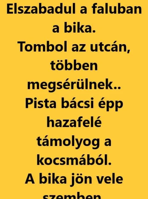 Vicc: Pista bácsi szembe kerül egy tomboló bikával