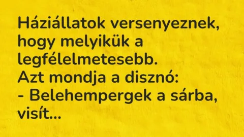 Háziállatok versenyeznek, hogy melyikük a legfélelmetesebb.
Azt… – Vicc Háziállatok versenyeznek, hogy melyikük a legfélelmetesebb.
Azt… – Vicc