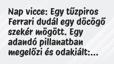 Napi vicc: Egy tűzpiros Ferrari dudál egy döcögő szekér mögött. Egy adandó… Napi vicc: Egy tűzpiros Ferrari dudál egy döcögő szekér mögött. Egy adandó…