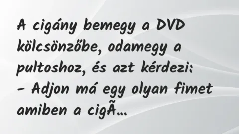 Vicc: A cigány bemegy a DVD kölcsönzőbe, odamegy a pultoshoz, és azt…