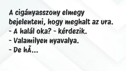 Vicc: A cigányasszony elmegy bejelenteni, hogy meghalt az ura.

– A…