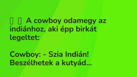 Vicc:
A cowboy odamegy az indiánhoz, aki épp birkát… Vicc:
A cowboy odamegy az indiánhoz, aki épp birkát…