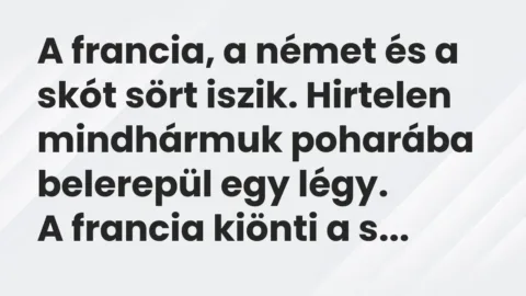 Vicc: A francia, a német és a skót sört iszik. Hirtelen mindhármuk poharába…