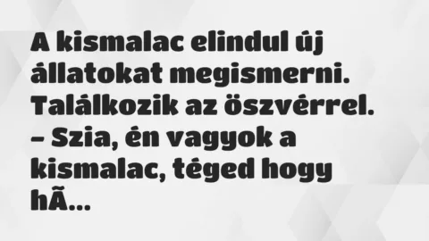 Vicc: A kismalac elindul új állatokat megismerni. Találkozik az… Vicc: A kismalac elindul új állatokat megismerni. Találkozik az…