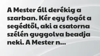 Vicc: A Mester áll derékig a szarban. Kér egy fogót a segédtől, aki a…