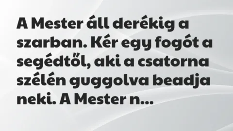 Vicc: A Mester áll derékig a szarban. Kér egy fogót a segédtől, aki a…