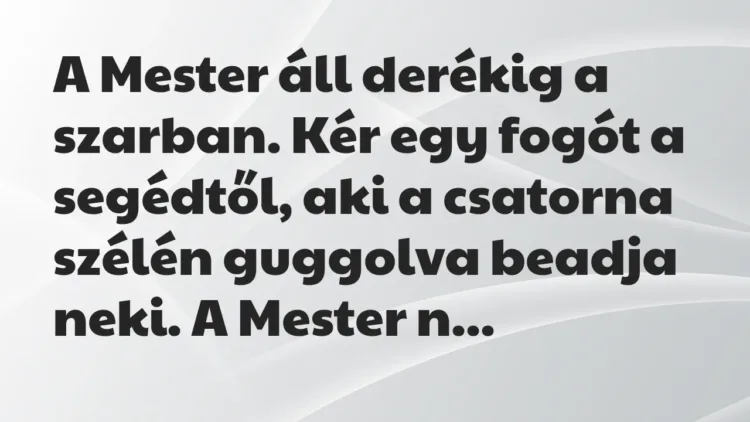 Vicc: A Mester áll derékig a szarban. Kér egy fogót a segédtől, aki a… Vicc: A Mester áll derékig a szarban. Kér egy fogót a segédtől, aki a…