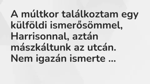 Vicc: A múltkor találkoztam egy külföldi ismerősömmel, Harrisonnal, aztán…