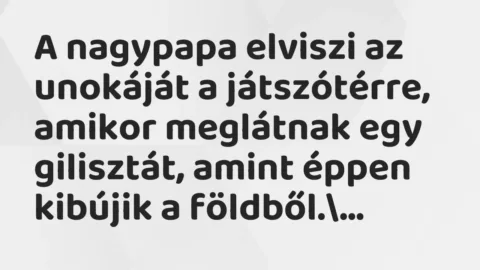 Vicc: A nagypapa elviszi az unokáját a játszótérre, amikor meglátnak egy…