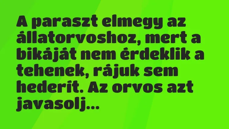 Vicc: A paraszt elmegy az állatorvoshoz, mert a bikáját nem érdeklik a… Vicc: A paraszt elmegy az állatorvoshoz, mert a bikáját nem érdeklik a…