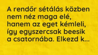 Vicc: A rendőr sétálás közben nem néz maga elé, hanem az eget kémleli, így… Vicc: A rendőr sétálás közben nem néz maga elé, hanem az eget kémleli, így…
