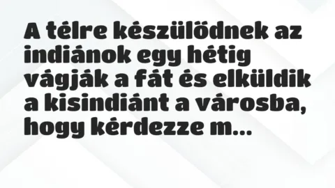 Vicc: A télre készülődnek az indiánok egy hétig vágják a fát és elküldik a… Vicc: A télre készülődnek az indiánok egy hétig vágják a fát és elküldik a…