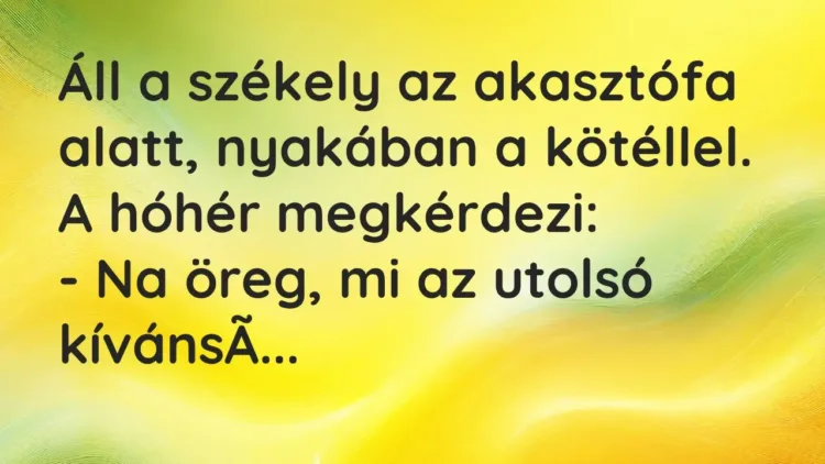 Vicc: Áll a székely az akasztófa alatt, nyakában a kötéllel. A hóhér… Vicc: Áll a székely az akasztófa alatt, nyakában a kötéllel. A hóhér…