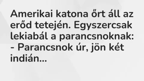 Vicc: Amerikai katona őrt áll az erőd tetején. Egyszercsak lekiabál a… Vicc: Amerikai katona őrt áll az erőd tetején. Egyszercsak lekiabál a…