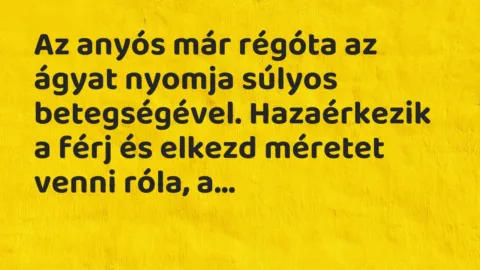 Vicc: Az anyós már régóta az ágyat nyomja súlyos betegségével. Hazaérkezik a… Vicc: Az anyós már régóta az ágyat nyomja súlyos betegségével. Hazaérkezik a…