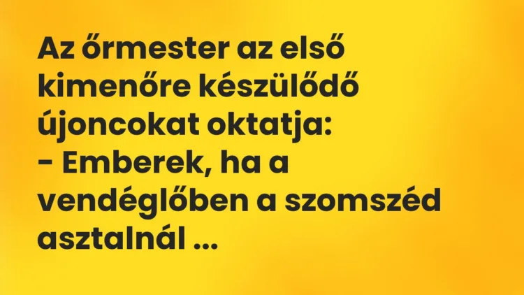 Vicc: Az őrmester az első kimenőre készülődő újoncokat oktatja:
-… Vicc: Az őrmester az első kimenőre készülődő újoncokat oktatja:
-…