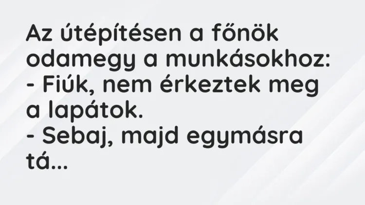 Vicc: Az útépítésen a főnök odamegy a munkásokhoz:
– Fiúk, nem érkeztek… Vicc: Az útépítésen a főnök odamegy a munkásokhoz:
– Fiúk, nem érkeztek…