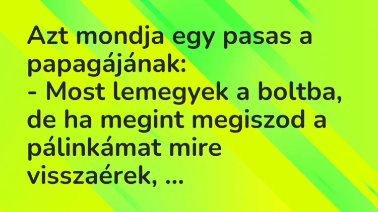 Vicc: Azt mondja egy pasas a papagájának:
– Most lemegyek a boltba, de… Vicc: Azt mondja egy pasas a papagájának:
– Most lemegyek a boltba, de…