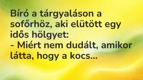 Vicc: Bíró a tárgyaláson a sofőrhöz, aki elütött egy idős hölgyet:
-… Vicc: Bíró a tárgyaláson a sofőrhöz, aki elütött egy idős hölgyet:
-…
