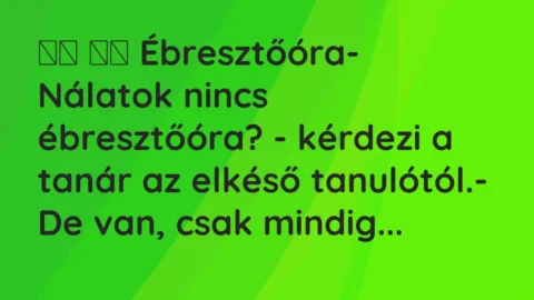 Vicc:
Ébresztőóra- Nálatok nincs ébresztőóra? -… Vicc:
Ébresztőóra- Nálatok nincs ébresztőóra? -…
