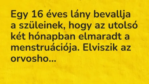Vicc: Egy 16 éves lány bevallja a szüleinek, hogy az utolsó két hónapban…