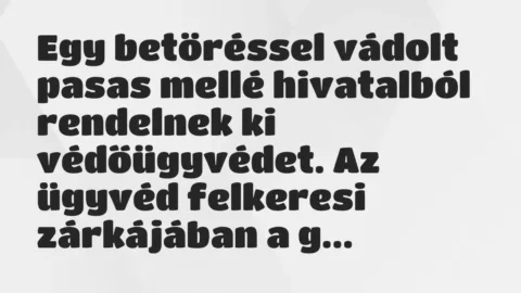 Vicc: Egy betöréssel vádolt pasas mellé hivatalból rendelnek ki… Vicc: Egy betöréssel vádolt pasas mellé hivatalból rendelnek ki…