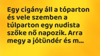 Vicc: Egy cigány áll a tóparton és vele szemben a túlparton egy nudista…