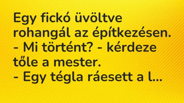 Vicc: Egy fickó üvöltve rohangál az építkezésen.
– Mi történt? -… Vicc: Egy fickó üvöltve rohangál az építkezésen.
– Mi történt? -…