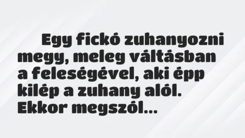 Vicc: 
	    	    Egy fickó zuhanyozni megy, meleg váltásban a feleségével, a…