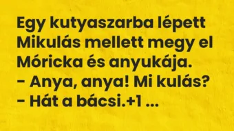 Vicc: Egy kutyaszarba lépett Mikulás mellett megy el Móricka és anyukája….