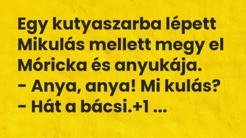 Vicc: Egy kutyaszarba lépett Mikulás mellett megy el Móricka és anyukája….