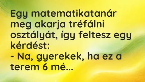 Vicc: Egy matematikatanár meg akarja tréfálni osztályát, így feltesz egy…